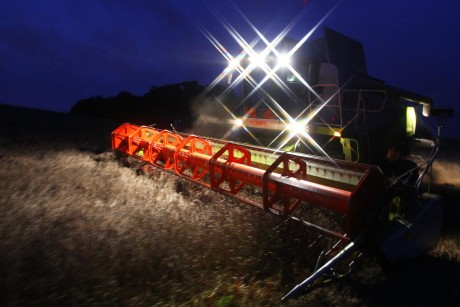 Bauern-ernten-bis-in-die-Nacht