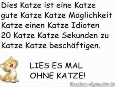 Lese-es-ohne-Katze