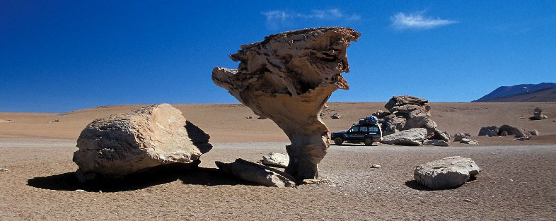 Arbol de Piedra