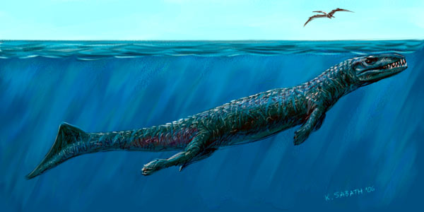 Dakosaurus Andiniensis