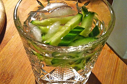 780638-420x280-fix-gin-tonic-gurke-la-ju