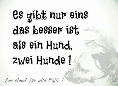 drei1