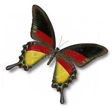 deutschlandfahne schmetterling