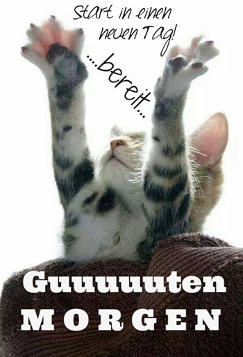 gutenmorgen1