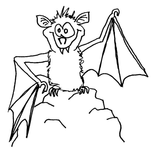 fledermaus05