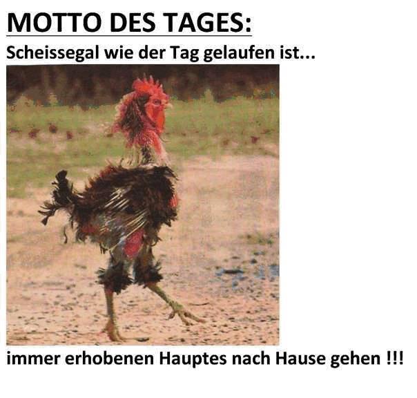 hahn