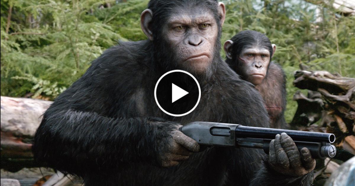 Kinostart-Planet-der-Affen-Revolution-