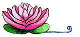 blume 364