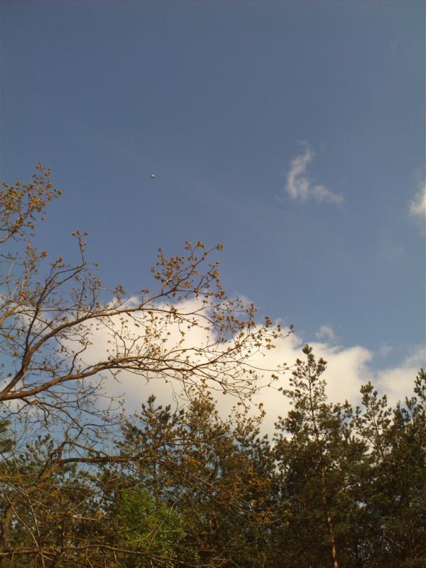 K800 752012 008