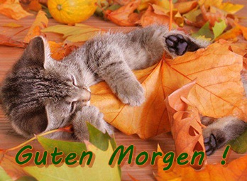 gutenmorgen2