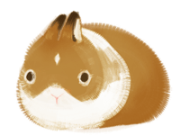guinea-pig-animated-gif-1