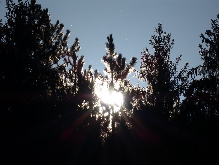 P1050875