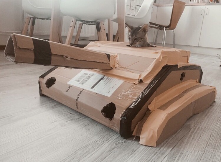 truebattlecat