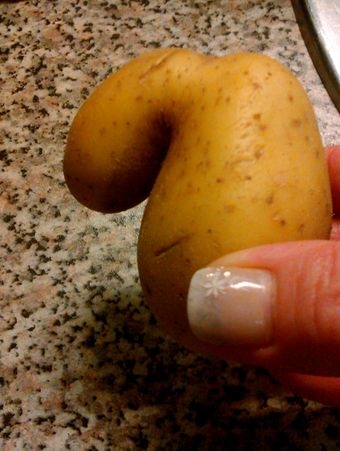 kartoffel